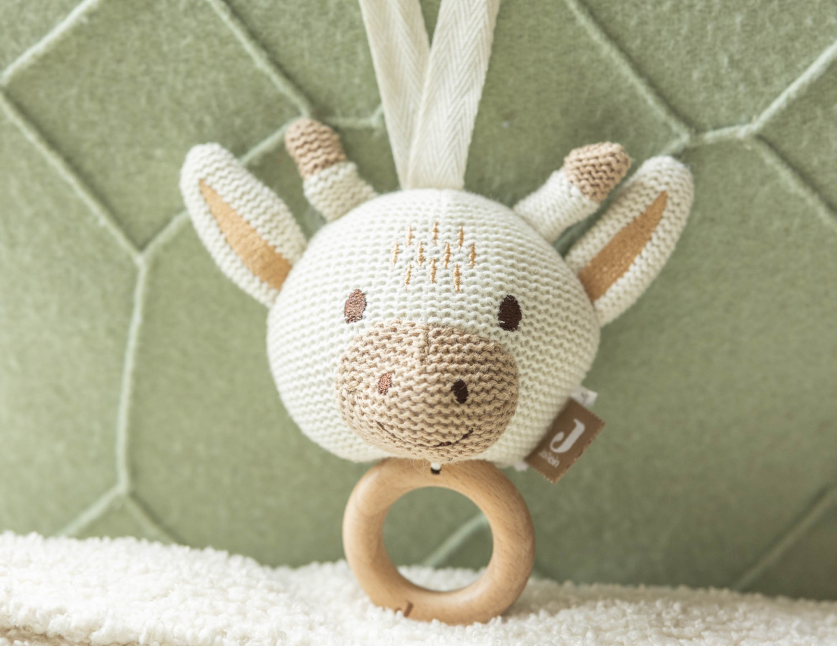 Bijtring baby